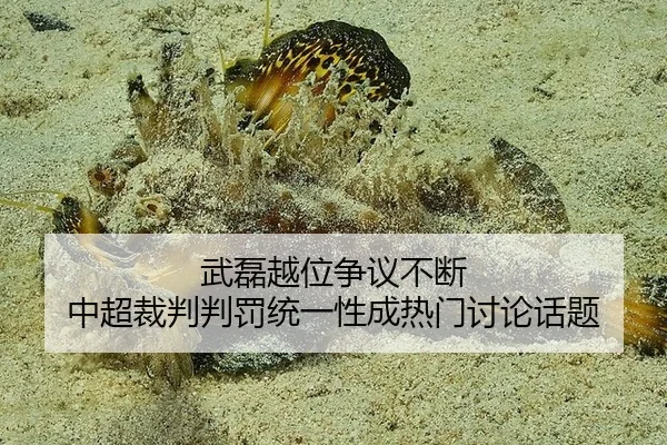 武磊越位争议不断 中超裁判判罚统一性成热门讨论话题